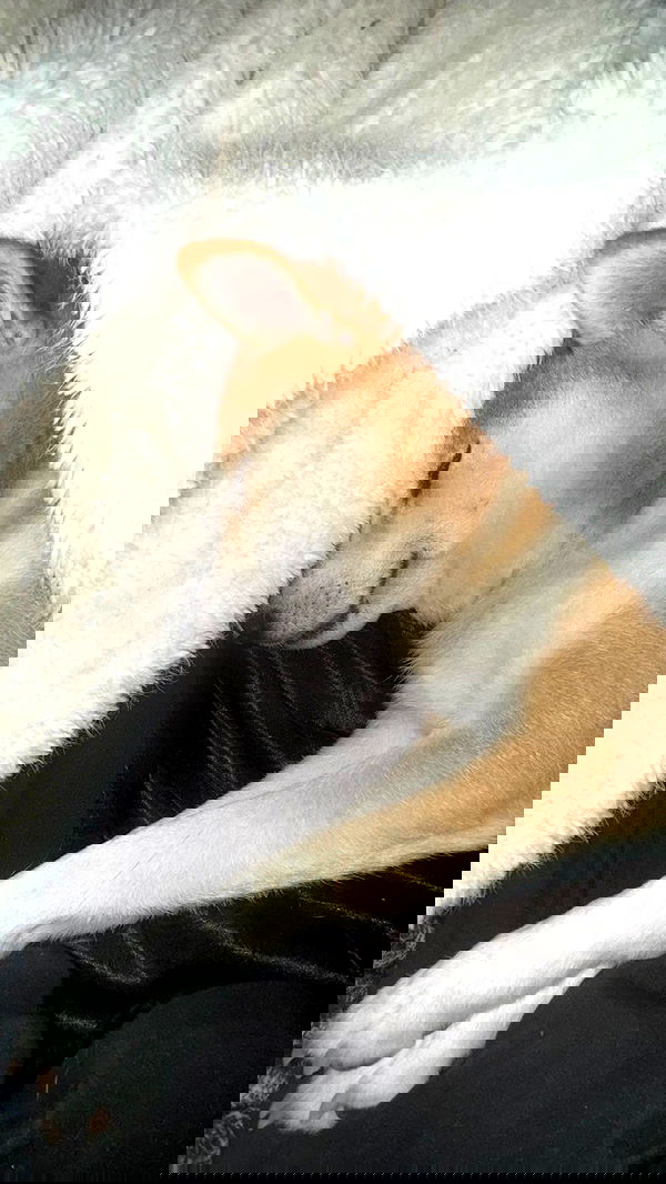 zommmbri zommmbri archive image