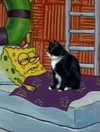 ellaexplicit_ Altpins Profile Picture
