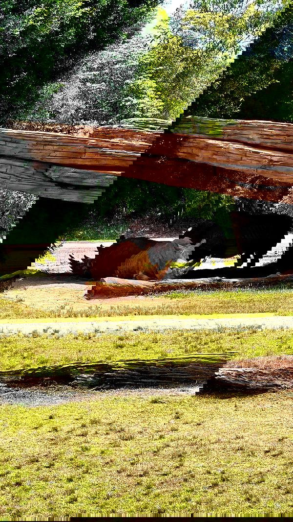 taylor.creeden taylor.creeden archive image