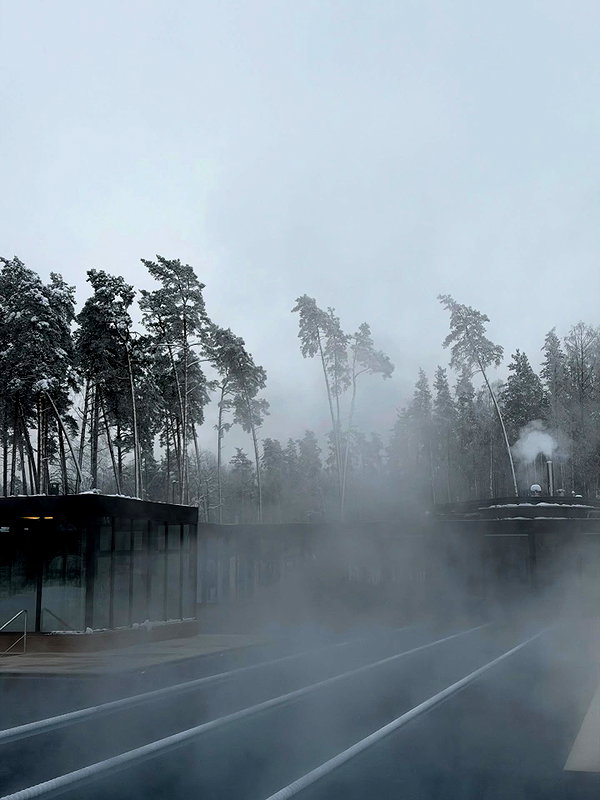 alishevs instagram image archive image