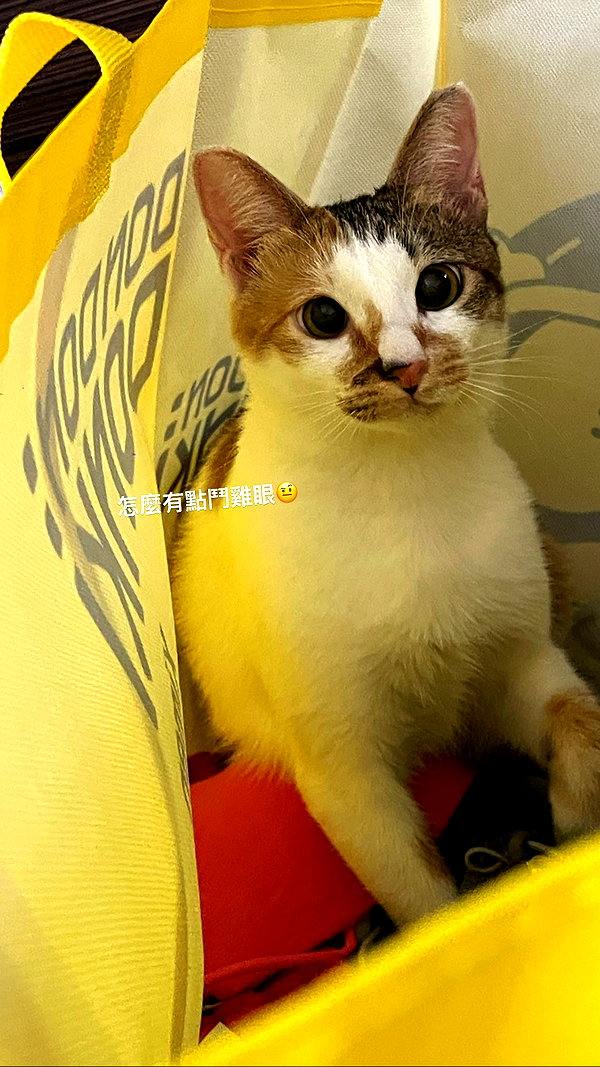 jiw_____n instagram image archive image