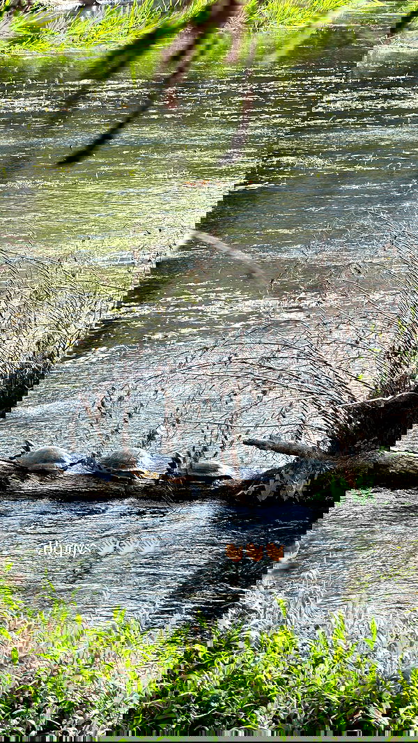 rachelc00k rachelc00k archive image