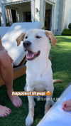 gabbyepstein Altpins Profile Picture