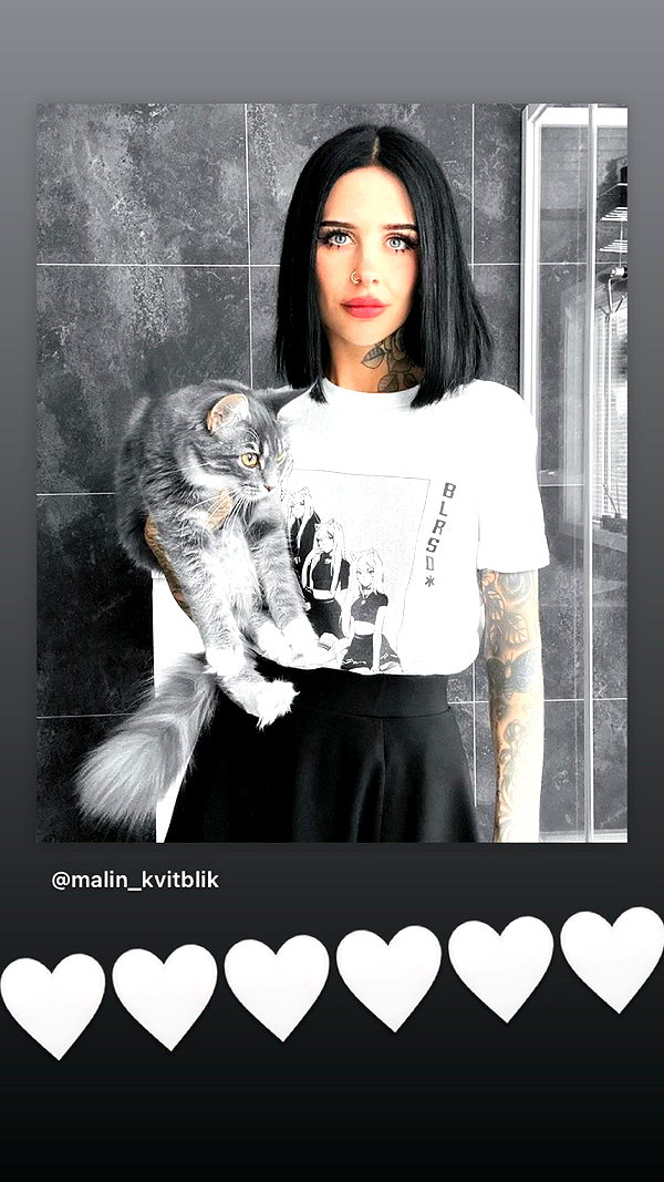 blursed.co instagram image archive image