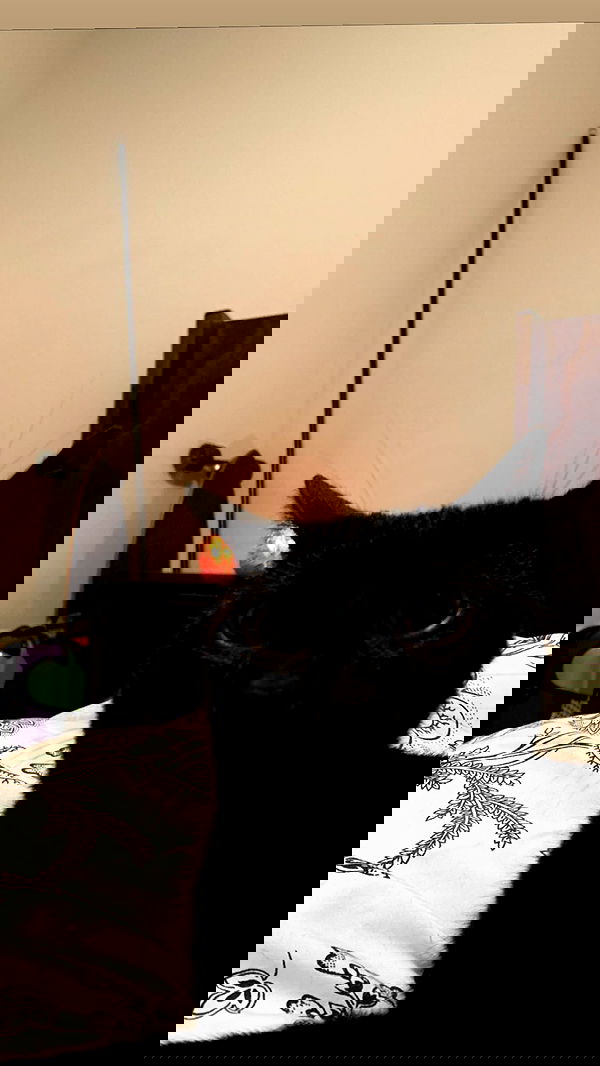 suikomuu suikomuu archive image