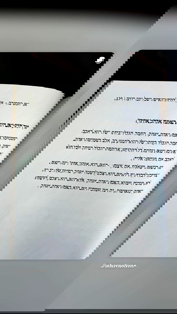 _lil_noa_ _lil_noa_ archive image