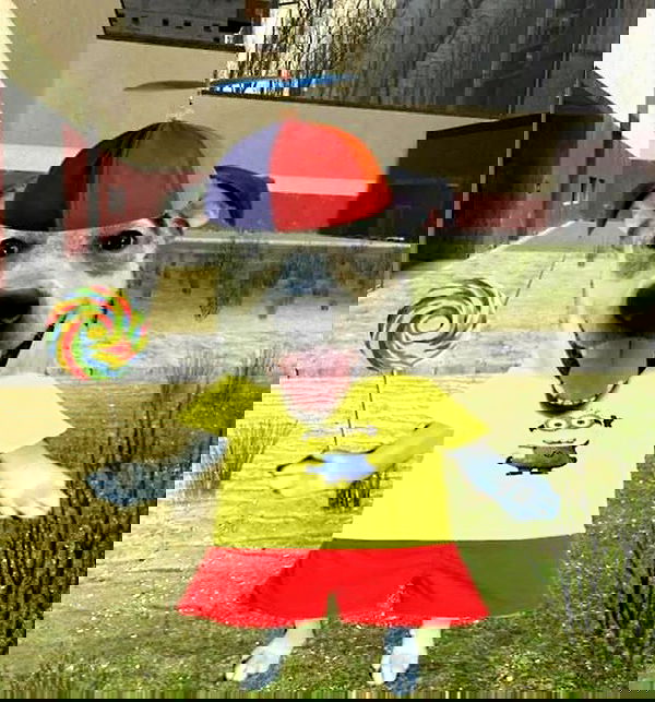 iluvmeww iluvmeww archive image