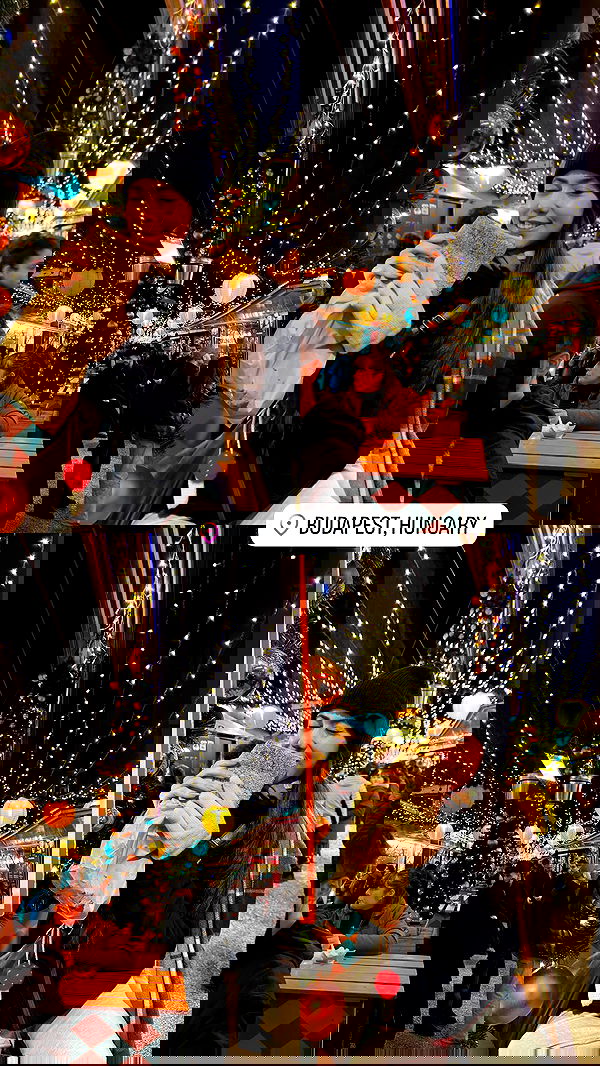 tuliish_ image ~ Altpins