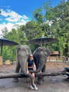 gloriastonelake Altpins Profile Picture