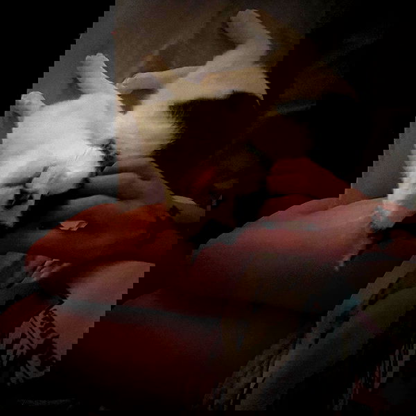 missnyxdawn missnyxdawn archive image