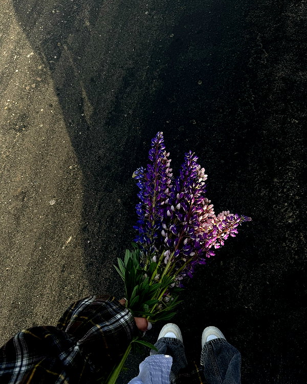 lerkamiill instagram image archive image
