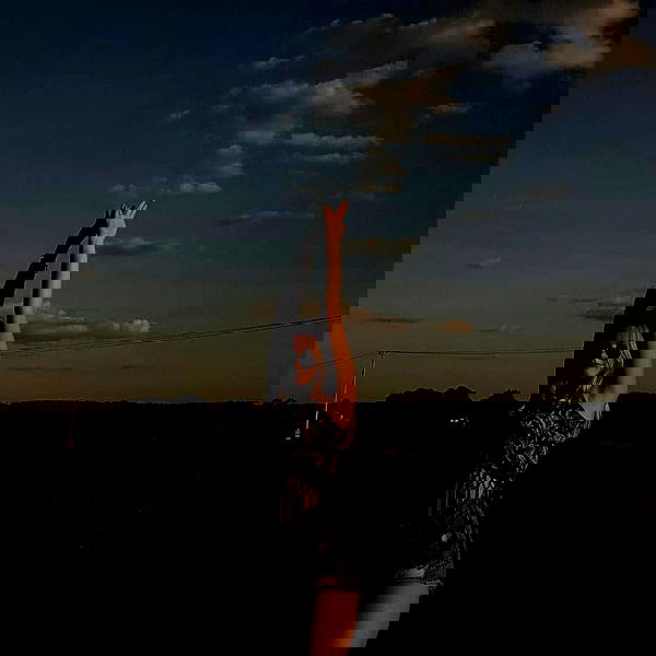 annfigmax image ~ Altpins