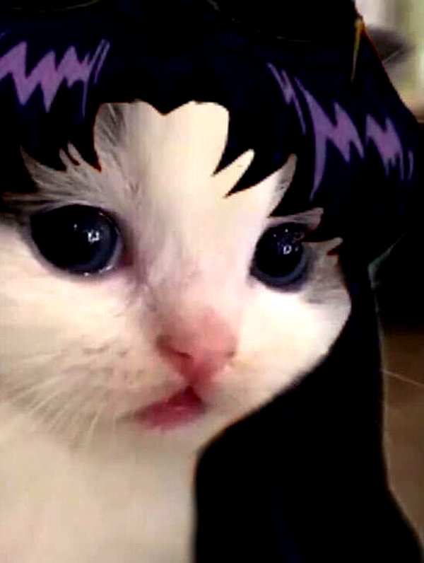 bakabakafuwa instagram image archive image