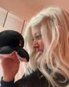 milkiwifey Altpins Profile Picture