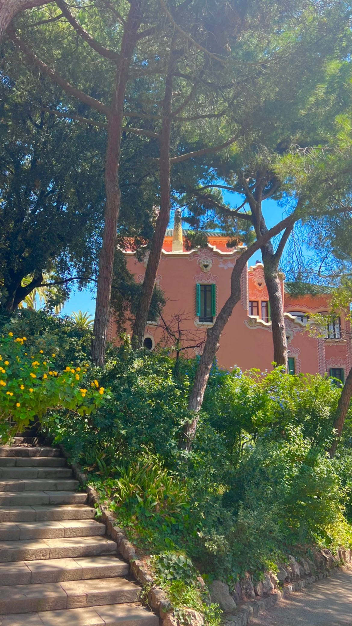 leonanaomii instagram image archive image