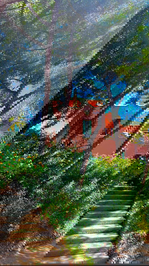 leonanaomii image ~ Altpins