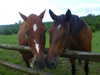 m1lkh8club Altpins Profile Picture