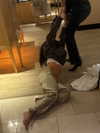 staskaranikolaou Altpins Profile Picture