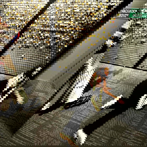 jtilb2 image ~ Altpins