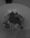 zoeliss Altpins Profile Picture