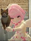 sashasucc Altpins Profile Picture