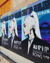 xtina Altpins Profile Picture