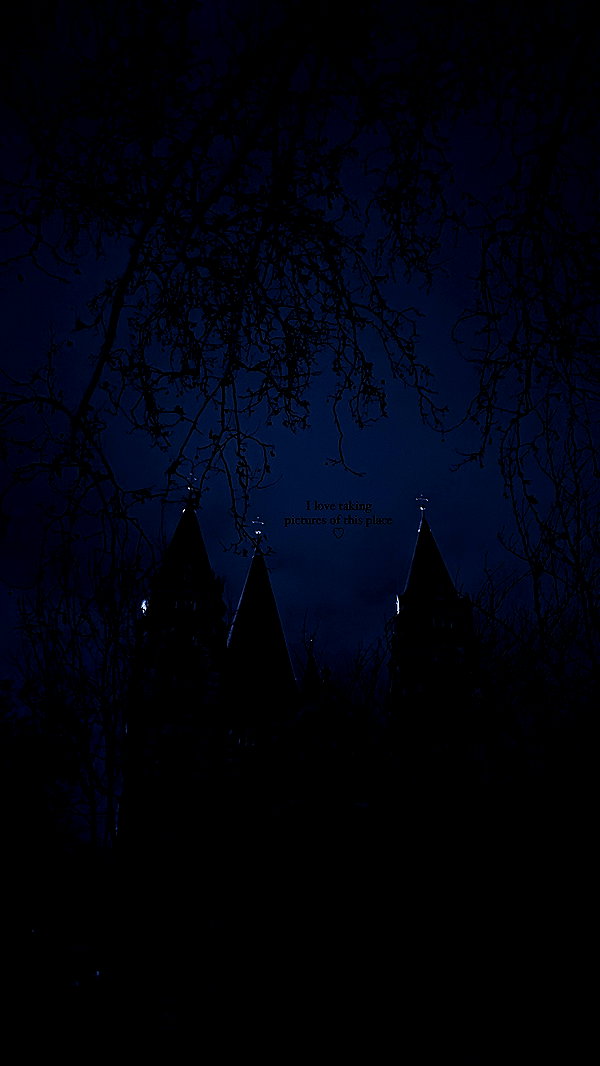 andasrose instagram image archive image