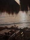 alishevs Altpins Profile Picture