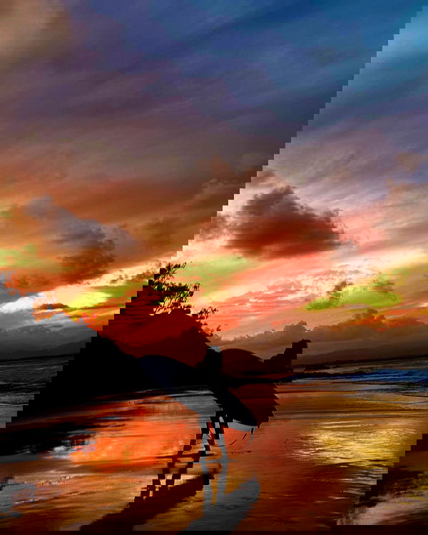 taylor.creeden taylor.creeden archive image