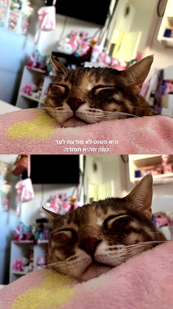 Archived image from @notchicore on Instagram