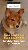 missbrisolo Altpins Profile Picture