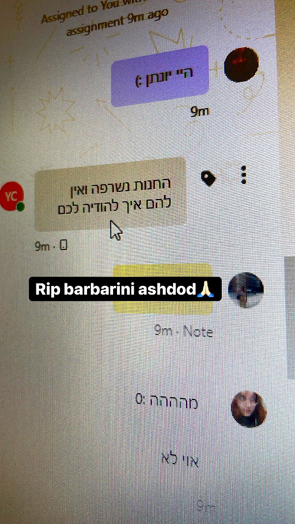 noasoophia instagram image archive image
