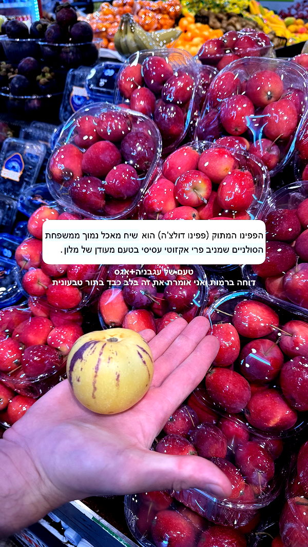 kesemgreenyer instagram image archive image