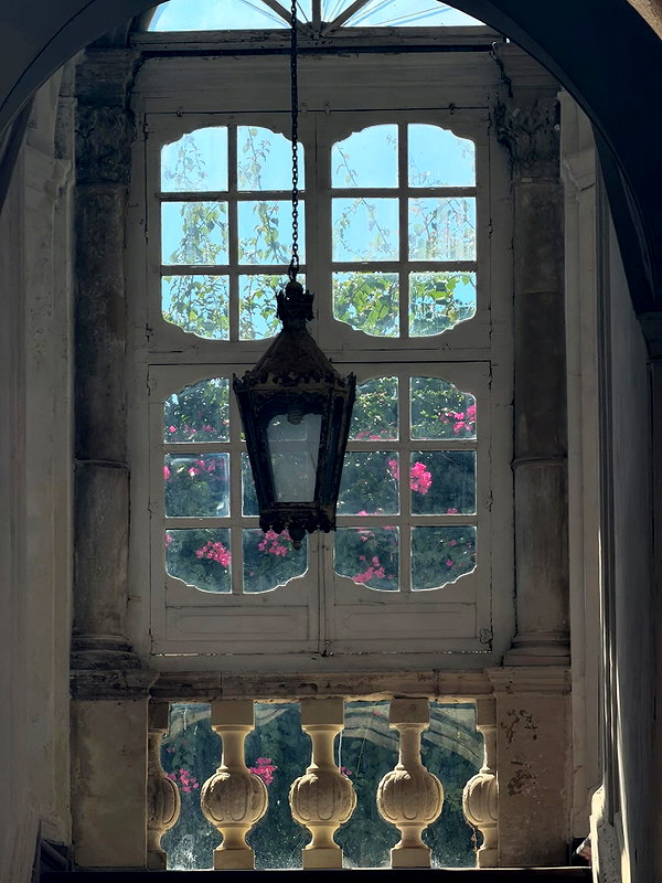 emmaaurora instagram image archive image