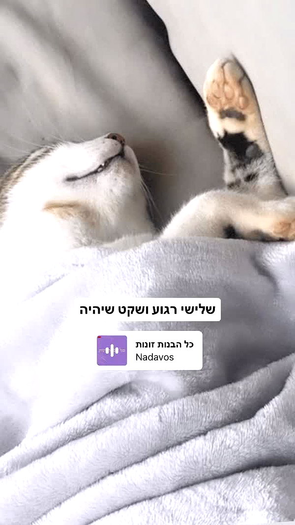 liliashaked instagram image archive image