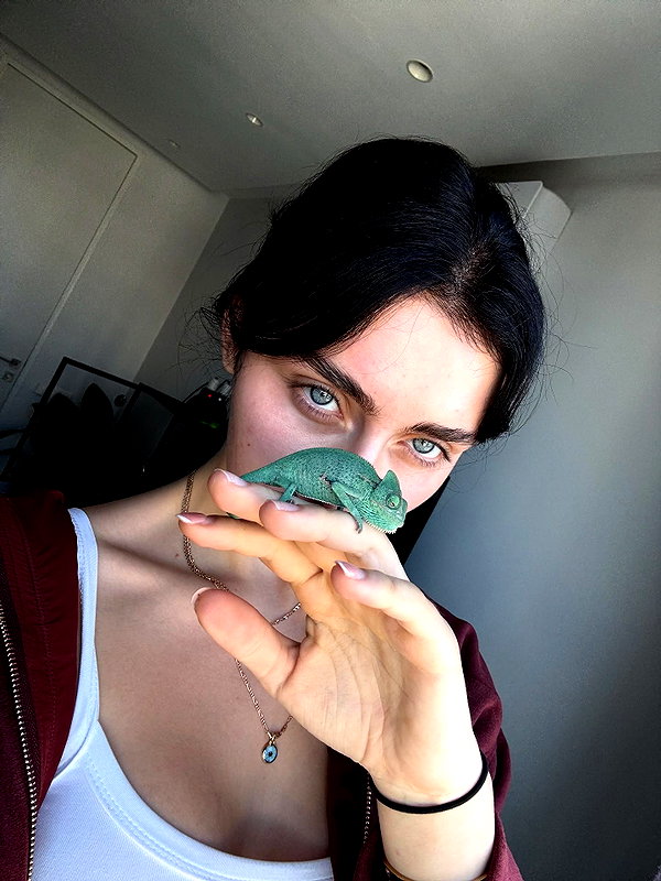 laurenhamden instagram image archive image