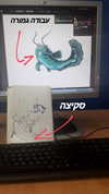 lior_levrun Altpins Profile Picture
