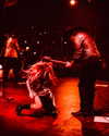 cannonstheband Altpins Profile Picture