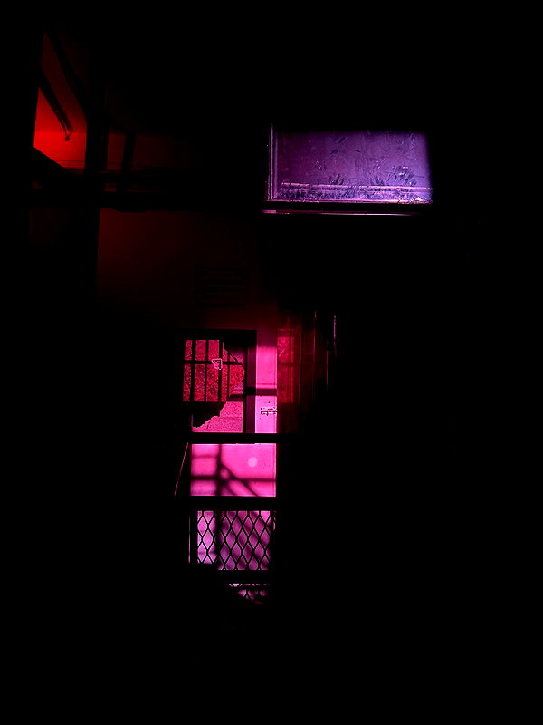 4t.ress instagram image archive image