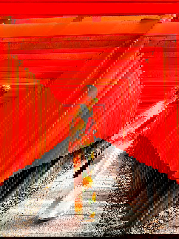 taylor.creeden taylor.creeden archive image