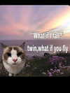 ellaexplicit_ Altpins Profile Picture