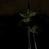 a.tinn___ Altpins Profile Picture