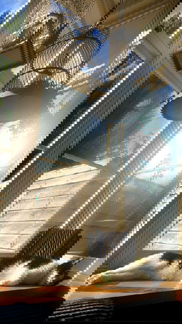 kitty.elliss kitty.elliss archive image