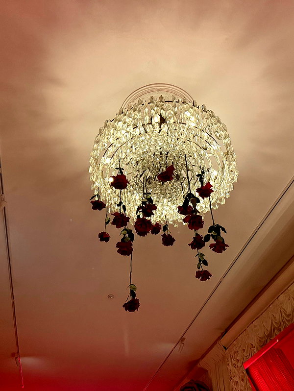 daryanedarya instagram image archive image