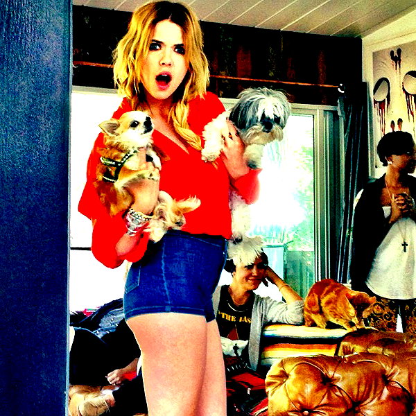 ashleybenson instagram image archive image