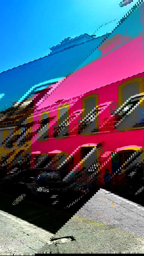 taylor.creeden taylor.creeden archive image