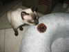 lolontlia Altpins Profile Picture
