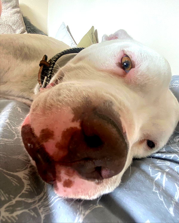 charley.chambers instagram image archive image