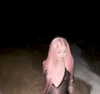 mewisa Altpins Profile Picture
