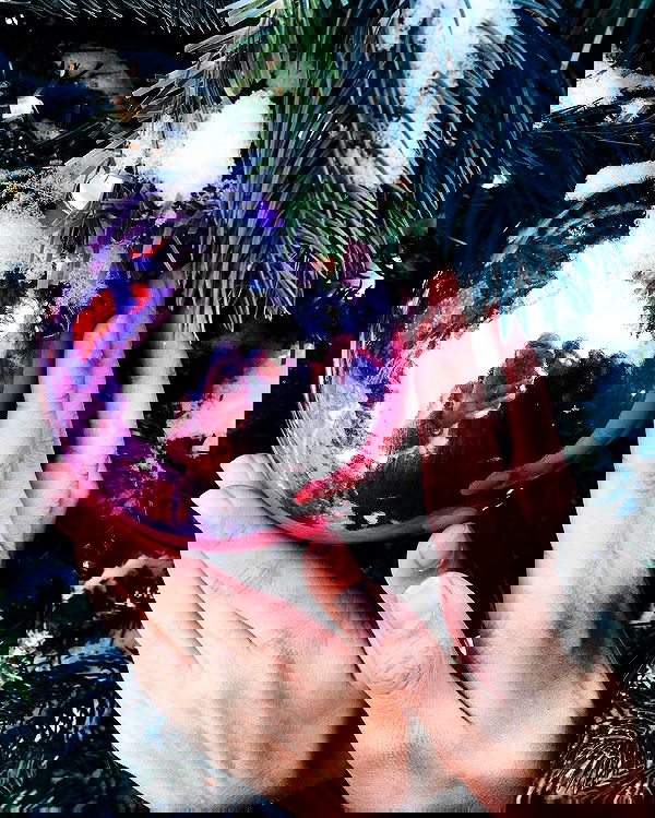 kkulakovaa image ~ Altpins